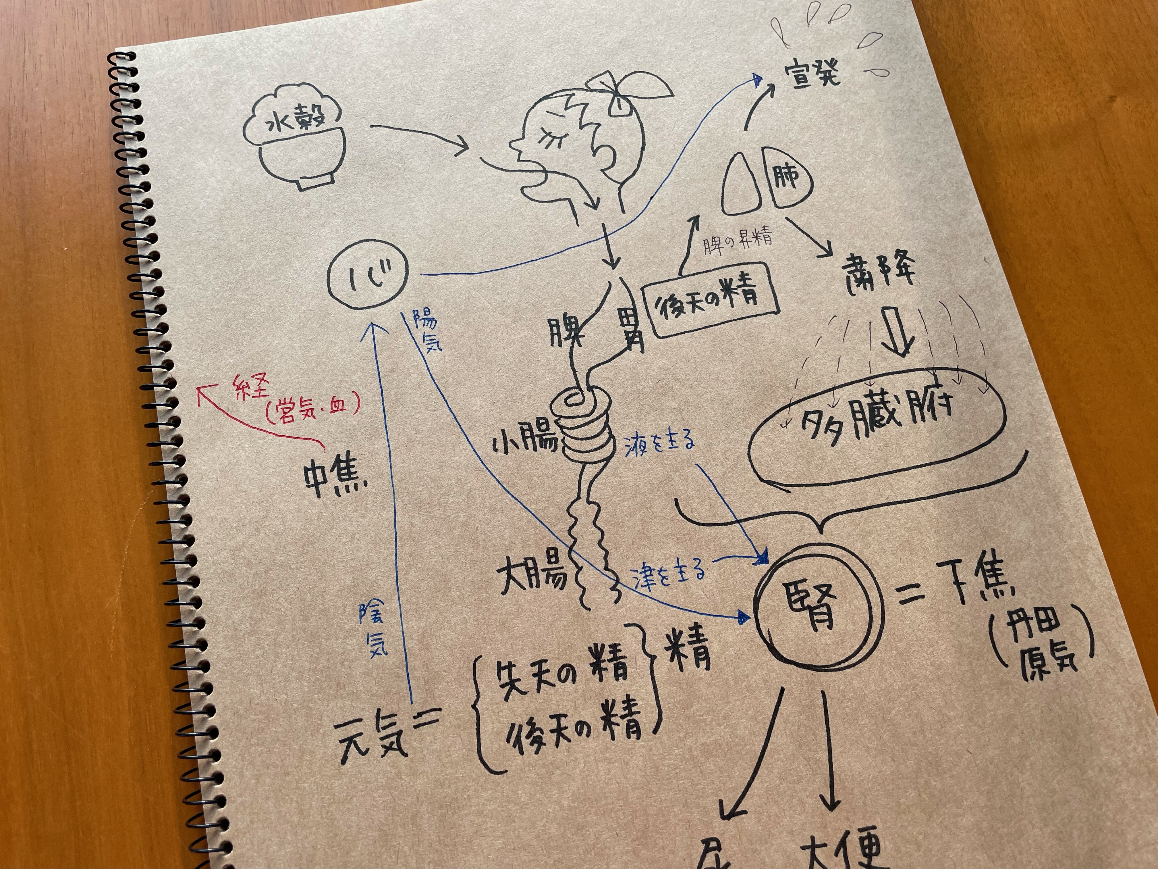 病気ではなく人を診る